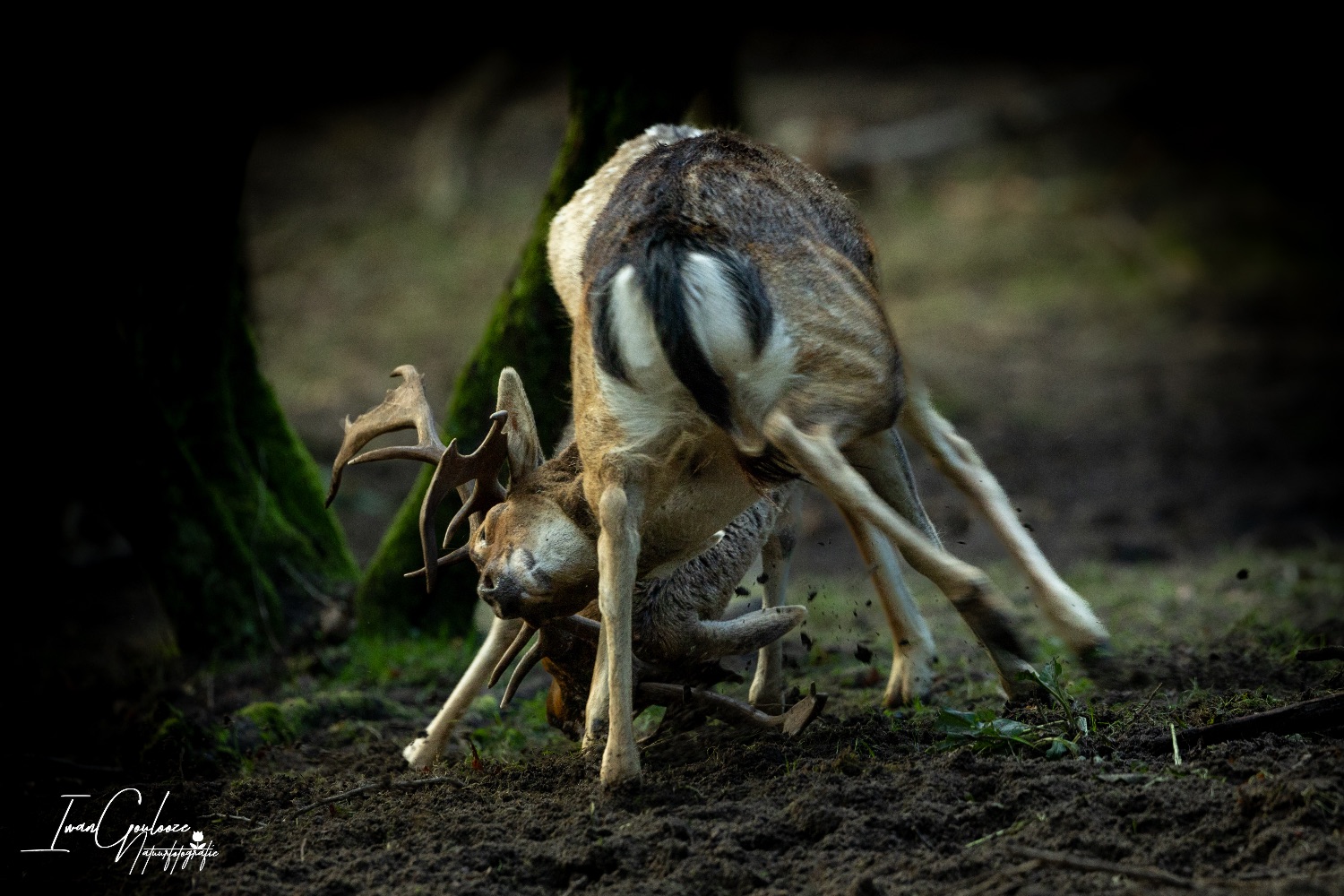 22 oktober 2023 123912  R2A8732